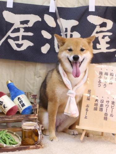 20240612リンちゃん